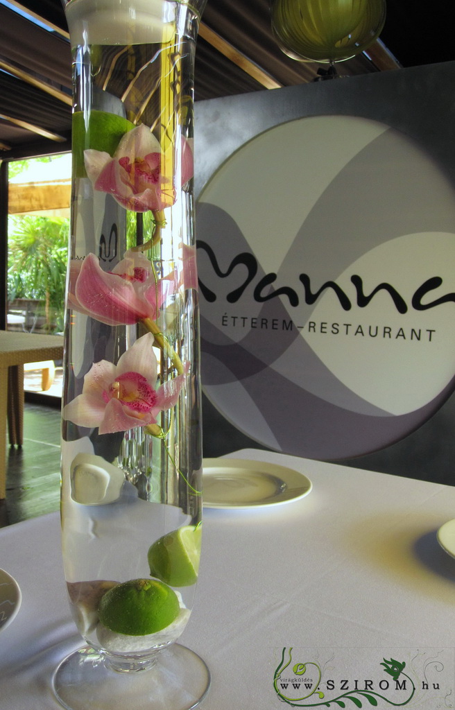flower delivery Budapest - swimming orchids  Manna Budapest (pink), wedding