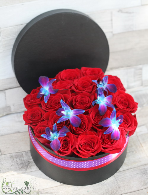 flower delivery Budapest - red rose box with blue dendrobium orchids (25 roses)
