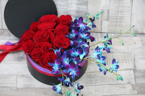 flower delivery Budapest - red rose box with blue dendrobium orchids (19 + 5 stems)