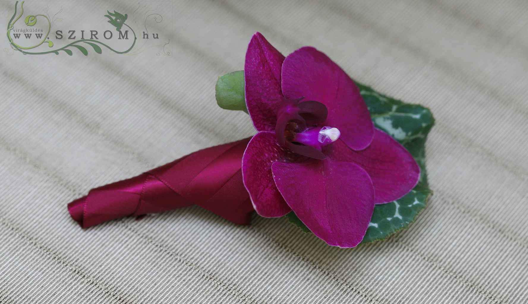flower delivery Budapest - Boutonniere of phalaenopsis (pink)