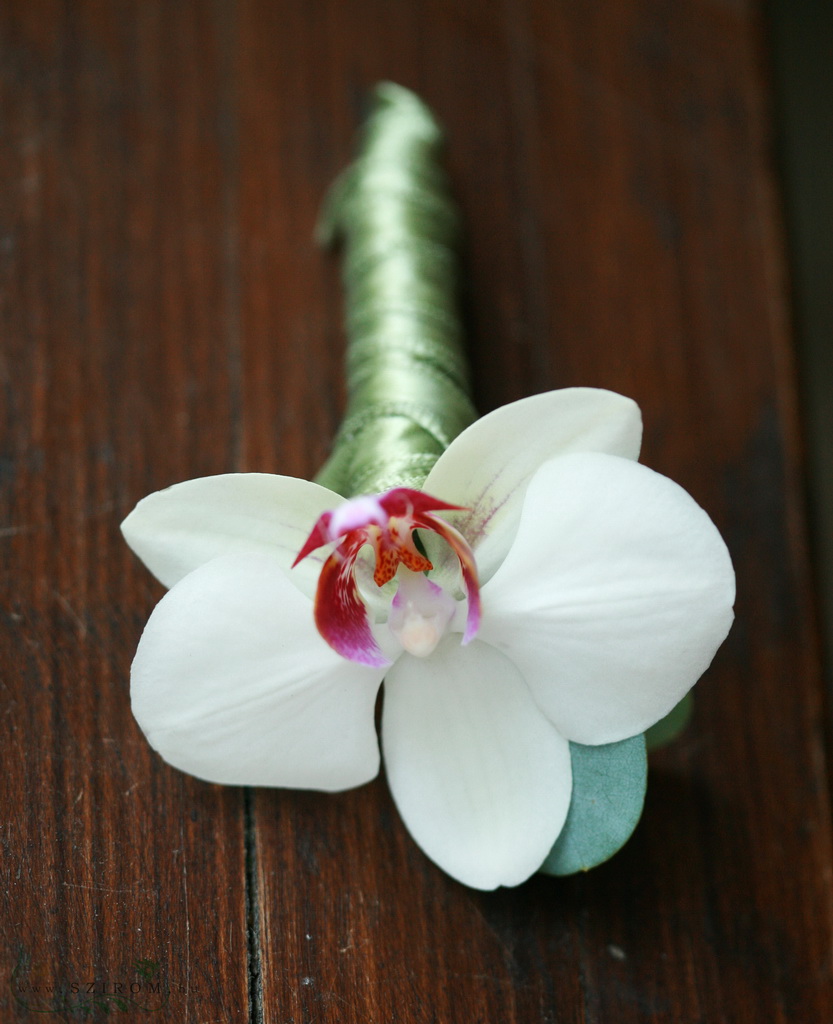 flower delivery Budapest - Boutonniere of phalaenopsis (white)