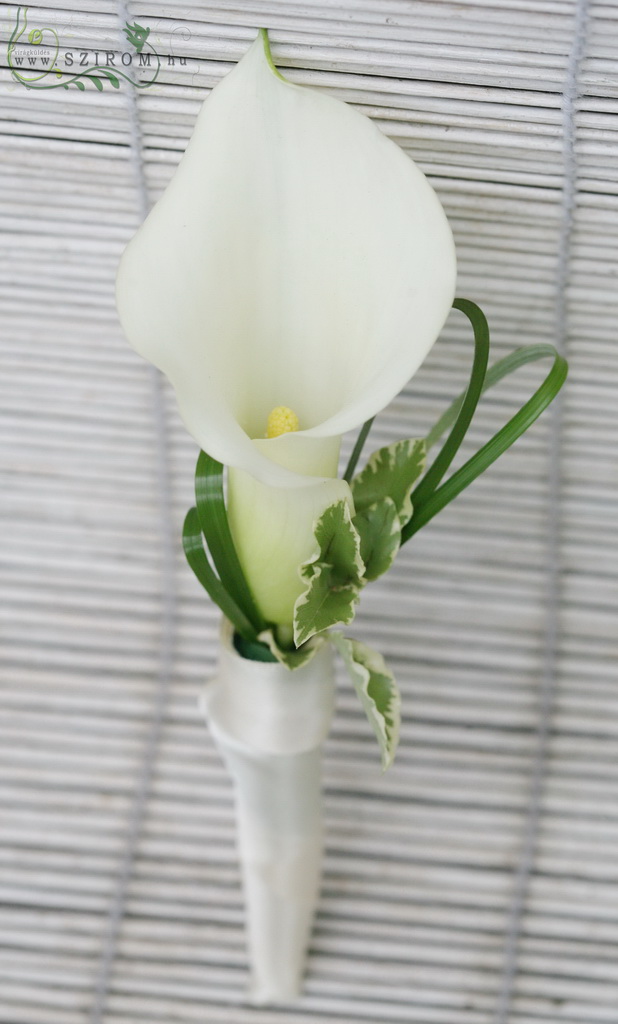 flower delivery Budapest - Boutonniere of calla (white)