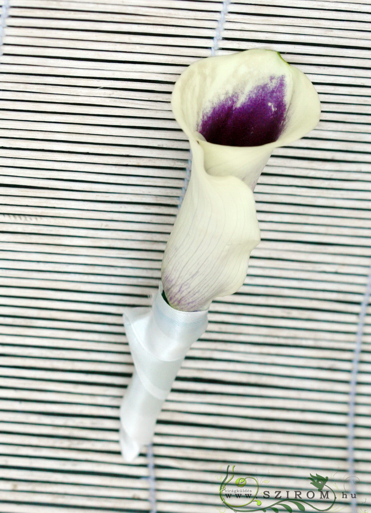 Virágküldés Budapest - Vőlegény kitűző kálából (fehér, lila)