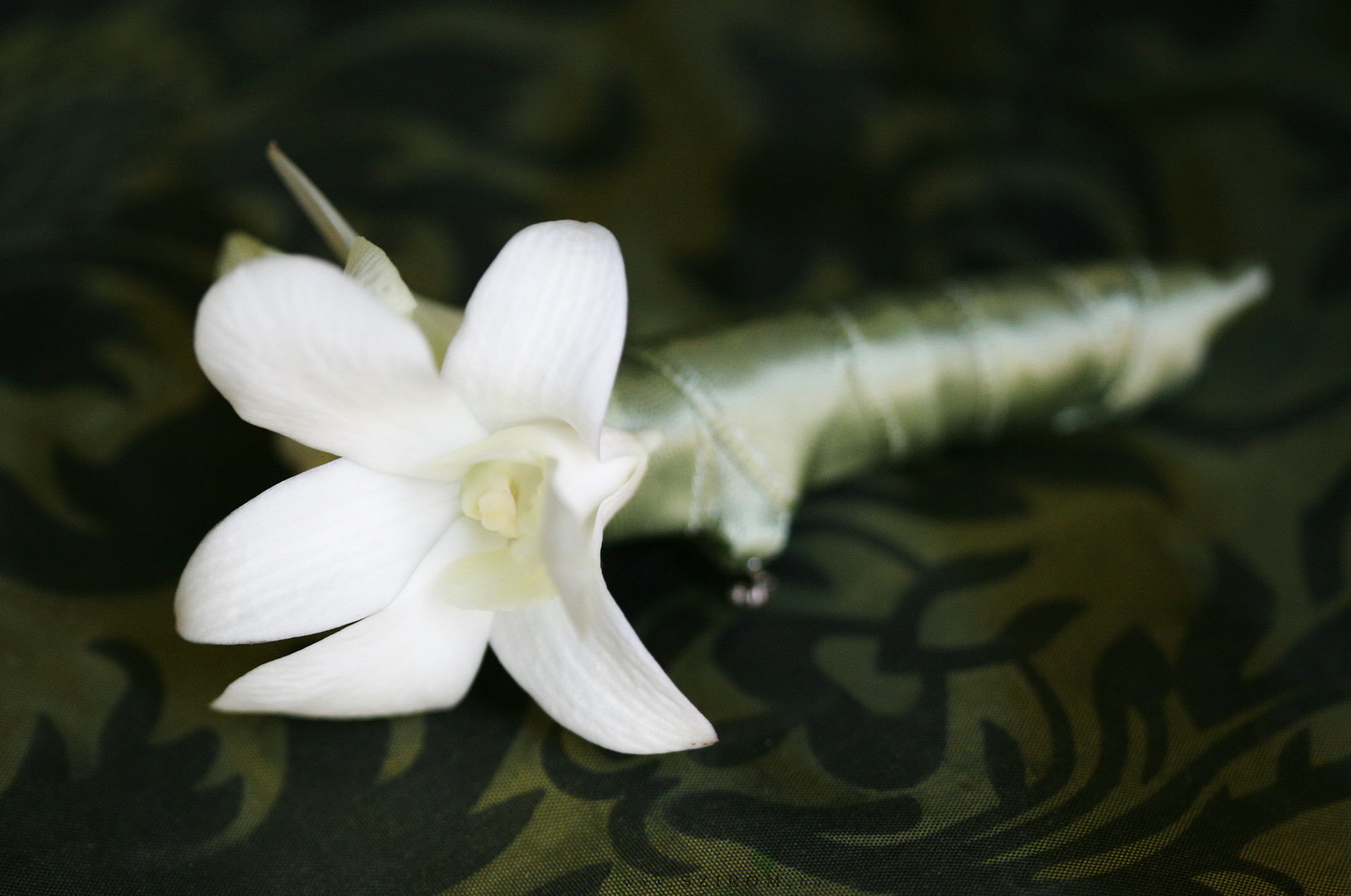 Virágküldés Budapest - Vőlegény kitűző orchideából (fehér)