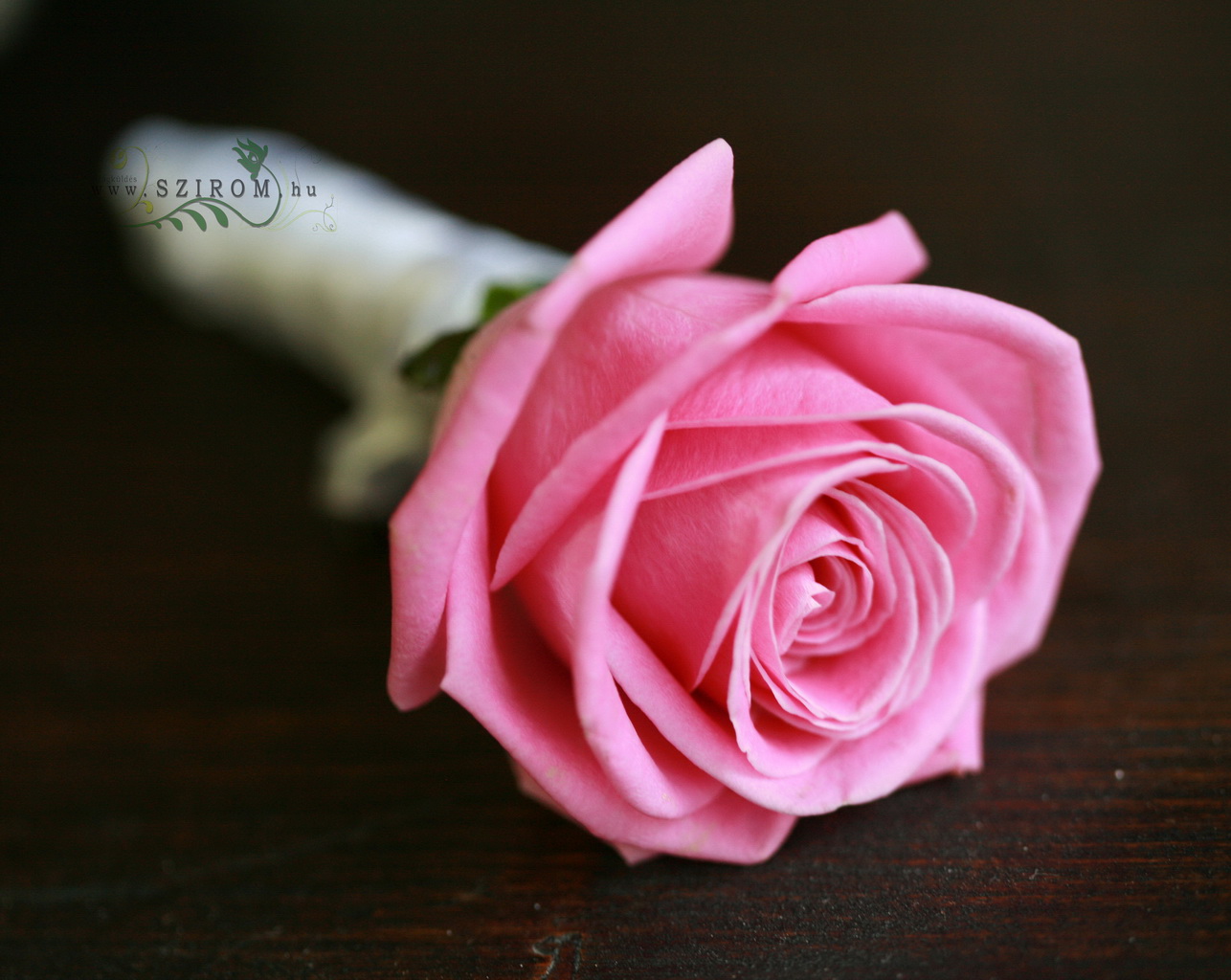 Virágküldés Budapest - Vőlegény kitűző rózsából (rózsaszín)