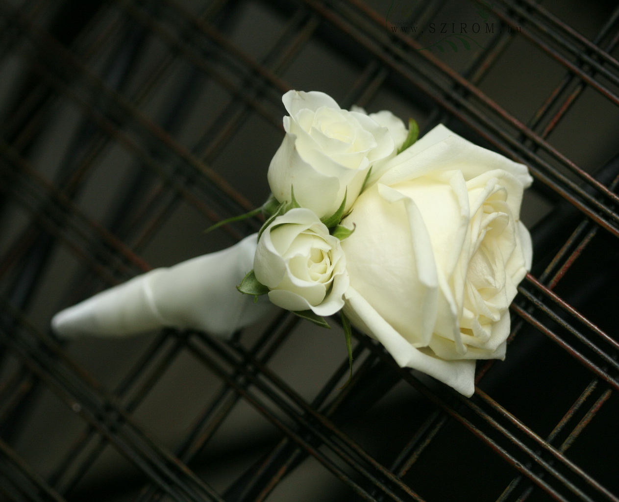 Virágküldés Budapest - Vőlegény kitűző bokros rózsából, rózsából (fehér)