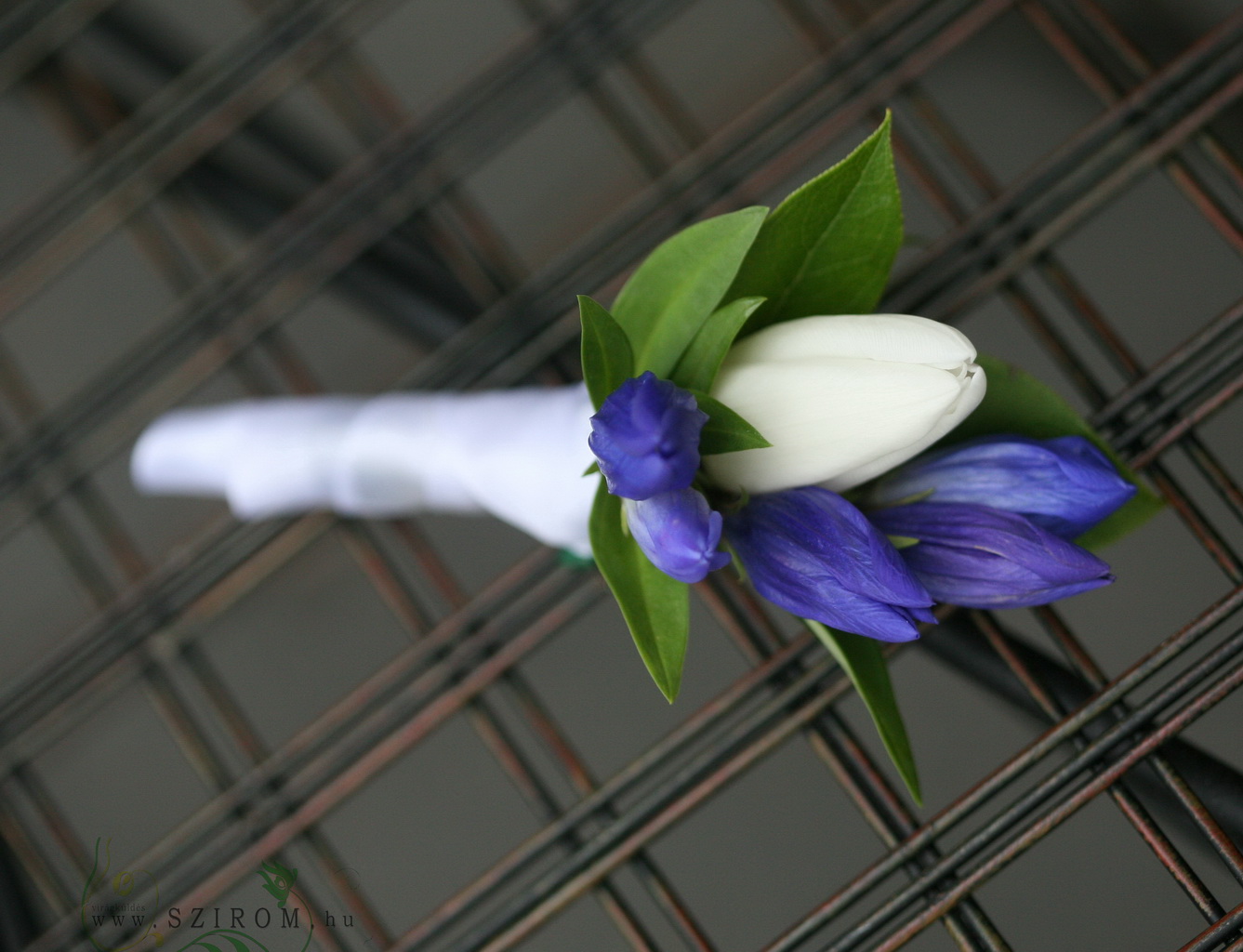 Virágküldés Budapest - Vőlegény kitűző (tulipán, enciánnal (kék, fehér)
