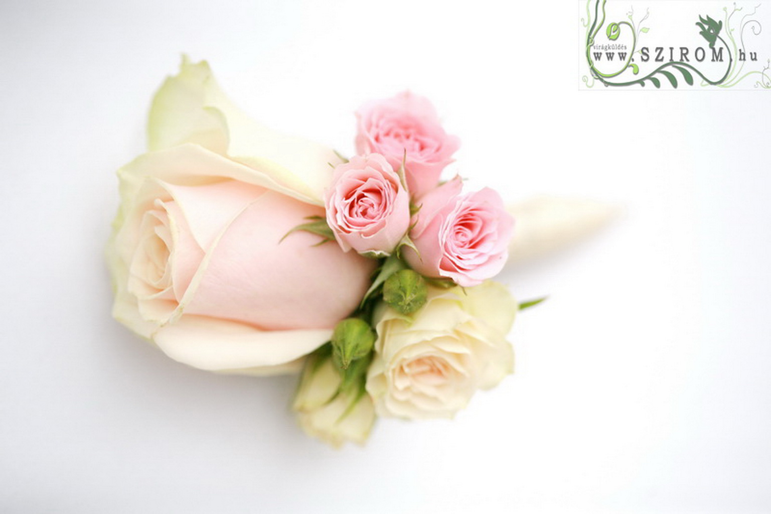 flower delivery Budapest - Boutonniere of spray roses, rose (pink, peach))