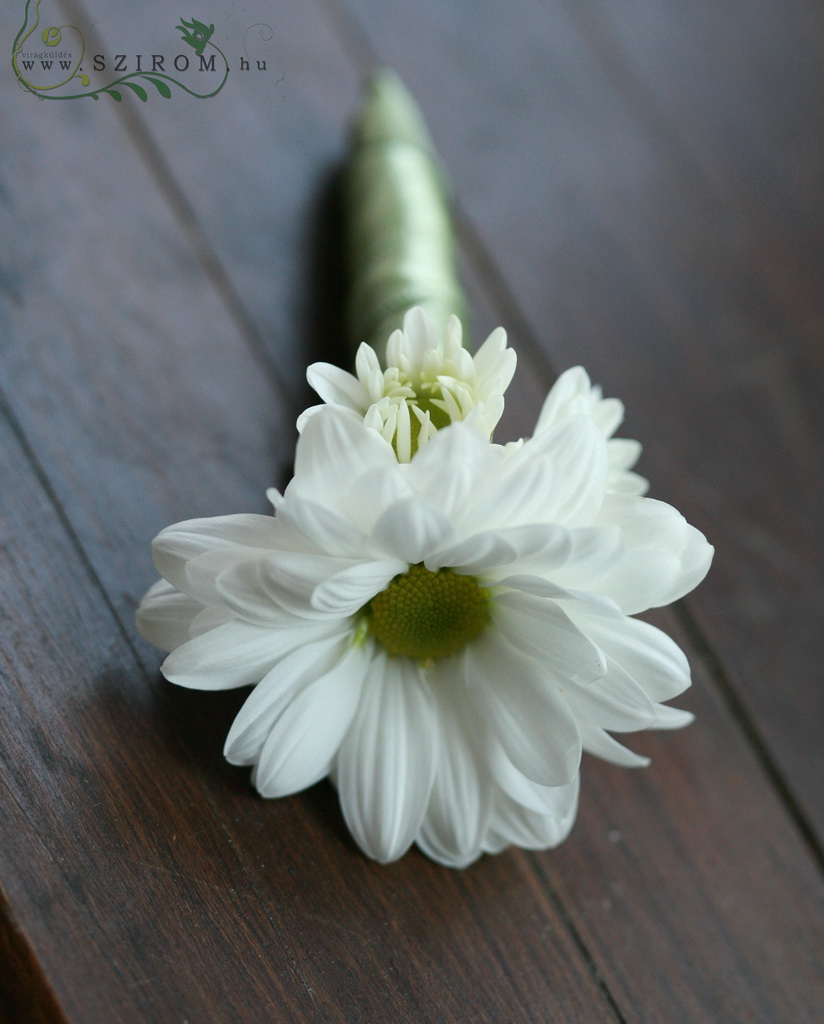 flower delivery Budapest - Boutonniere of daisy (white)
