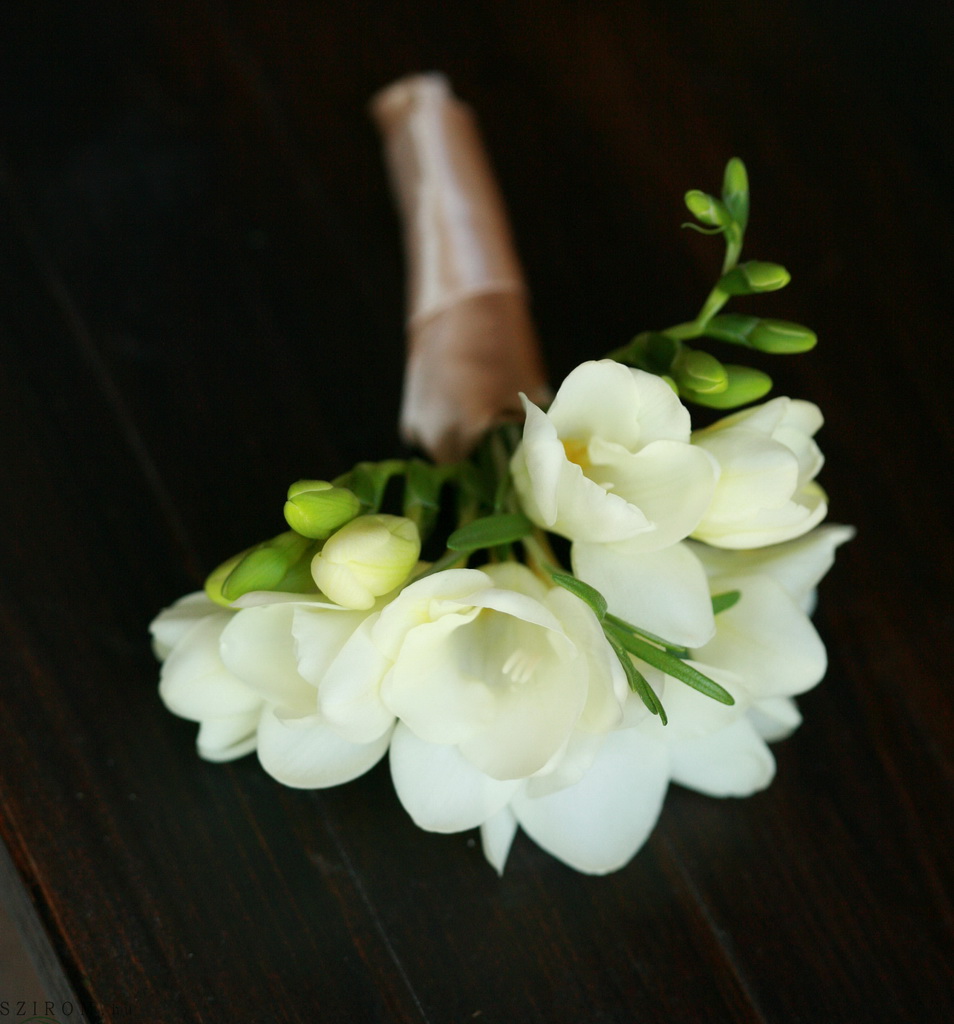 flower delivery Budapest - Boutonniere of freesias (white)