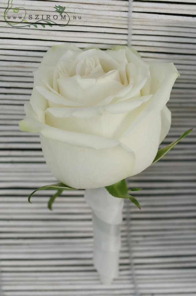 Virágküldés Budapest - Vőlegény kitűző rózsából (fehér)
