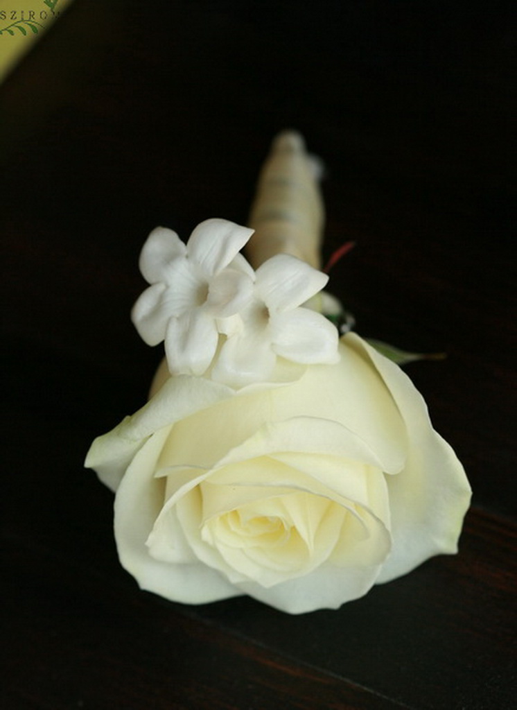 Virágküldés Budapest - vőlegény kitűző rózsából stephanothissal (fehér)
