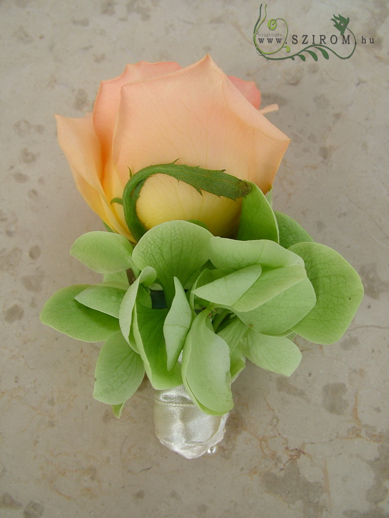 Virágküldés Budapest - Vőlegény kitűző rózsából hortenziával (barack, zöld)