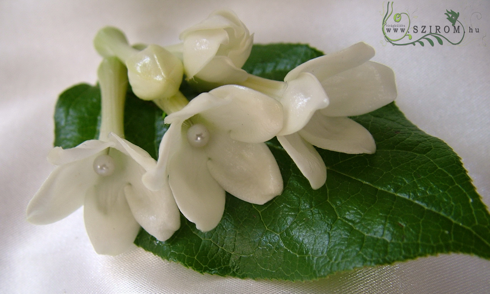 flower delivery Budapest - Boutonniere of stephanotis (white)