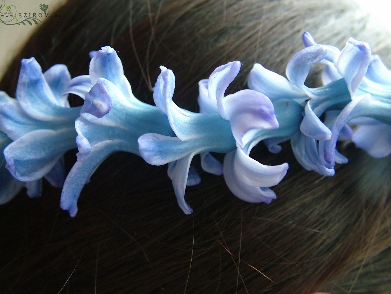 flower delivery Budapest - hair wreath made of hyacinths (blue)