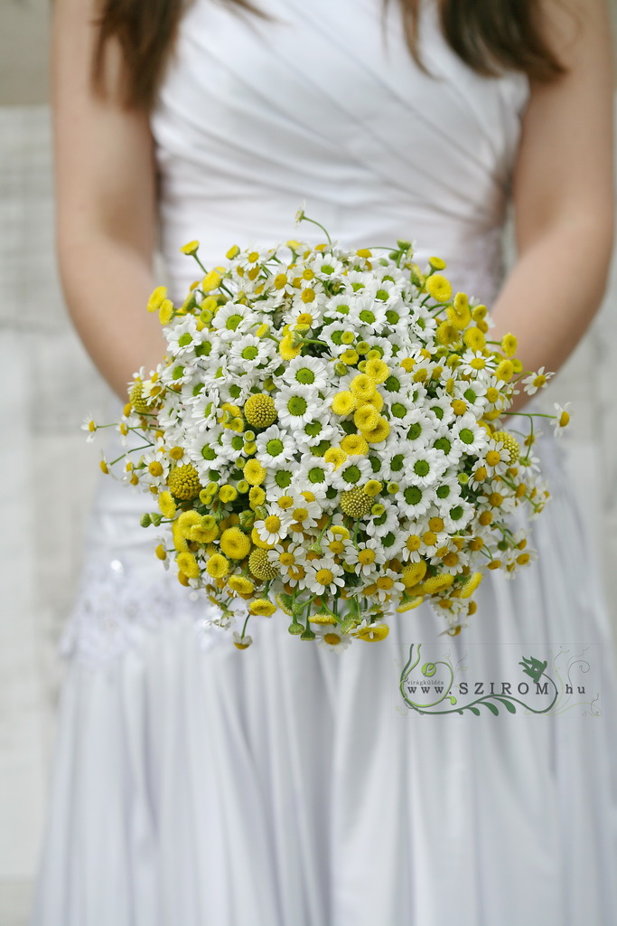 flower delivery Budapest - Bridal bouquet chamomile (chamomile, matricaria, santini, craspedia, white, yellow)