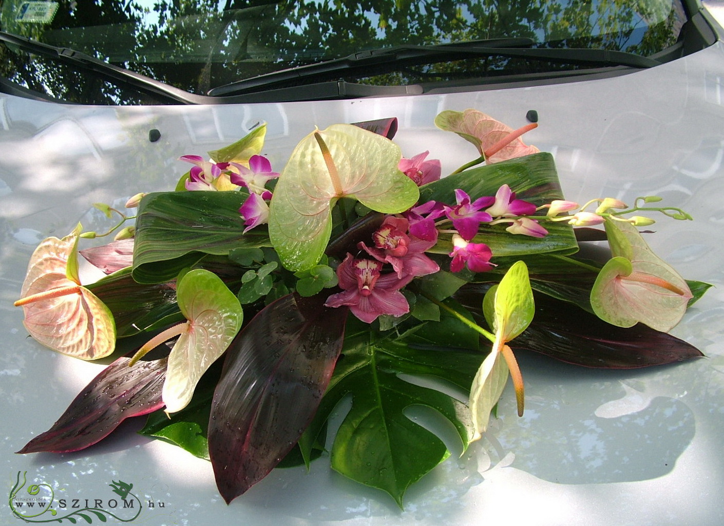 Virágküldés Budapest - ovális autódísz orchideával és famingóvirággal (zöld, rózsaszín)
