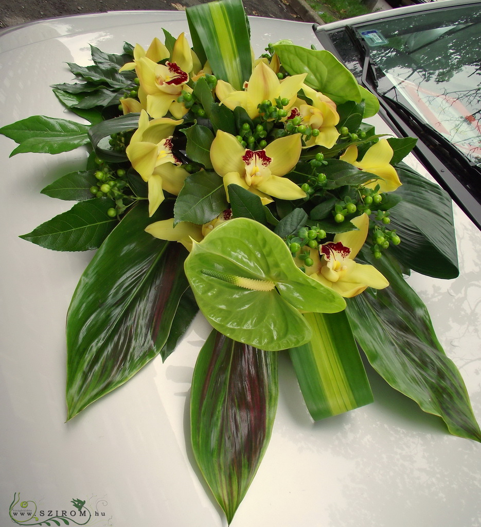 flower delivery Budapest - oval car flower arrangement with orchids and anthuriums (green, yellow)