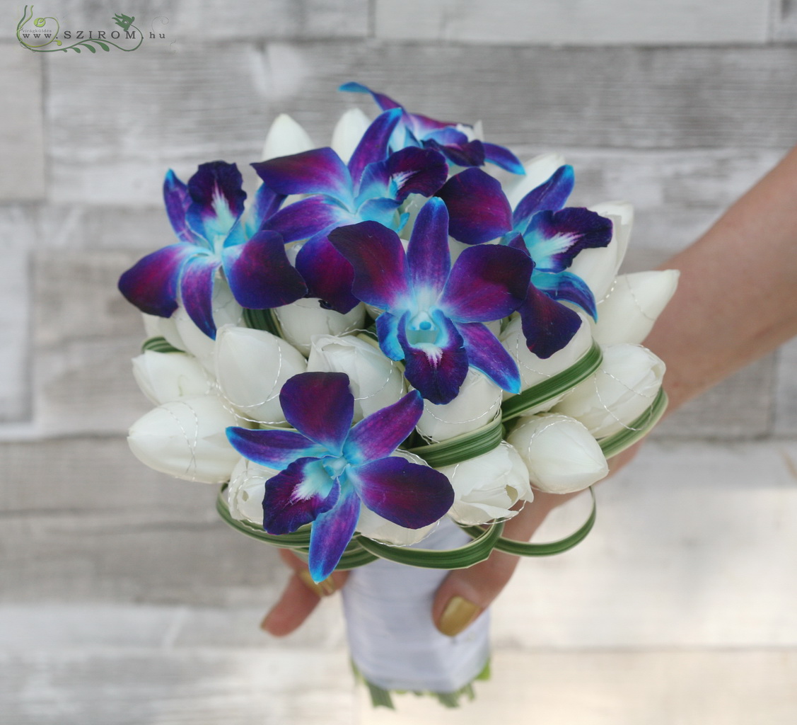 Menyasszonyi csokor tulipánnal, kék dendrobium orchideával ( fehér, kék) tél, tavasz