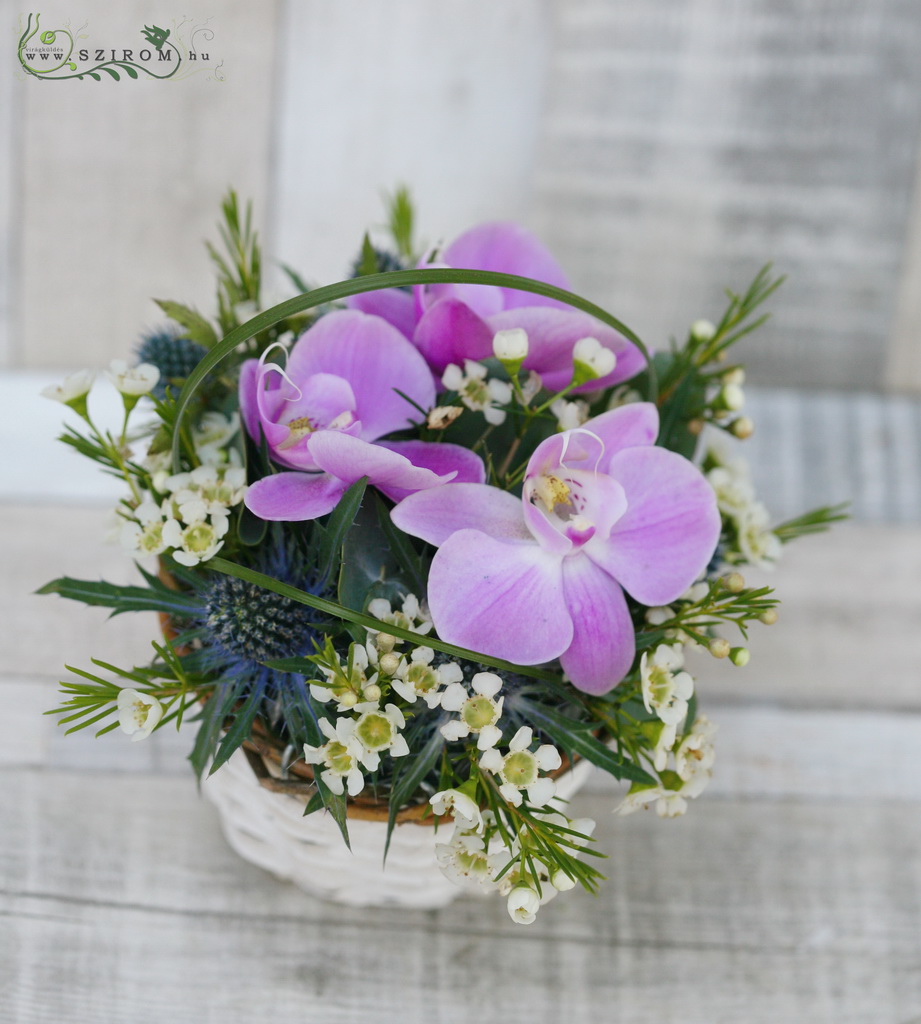 flower delivery Budapest - Centepiece small basket with orchids (purple), wedding