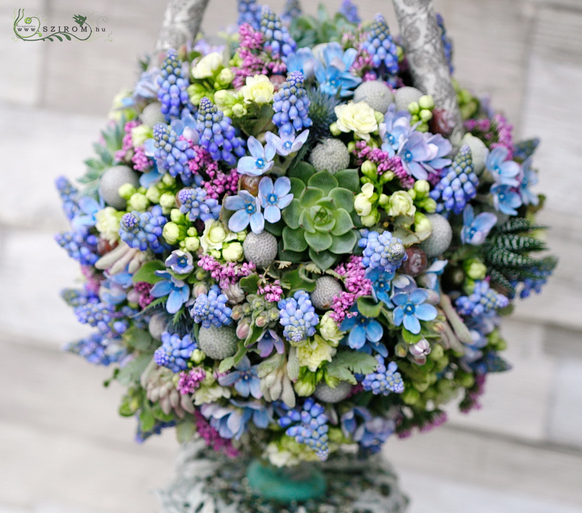 Menyasszonyi csokor kövirózsákkal, oxipetalummal, muscarival (eryngium, korall virág, sóvirág, kék)
