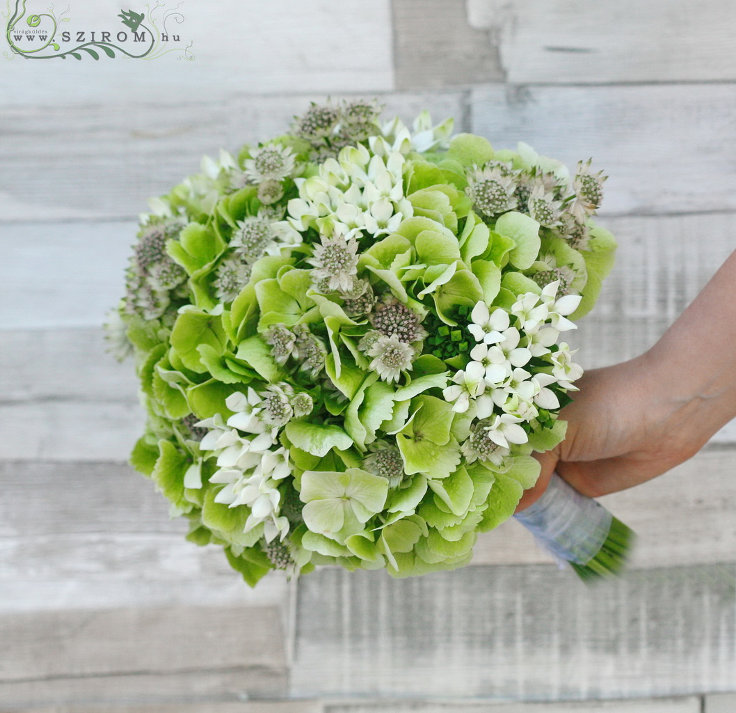 flower delivery Budapest - Bridal bouquet with green hydrangeas, astrantia, bouvardia (green, white)