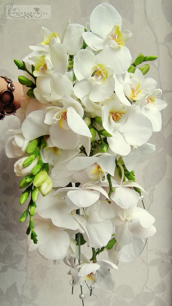 Menyasszonyi csepp csokor orchideával, fréziával (fehér)