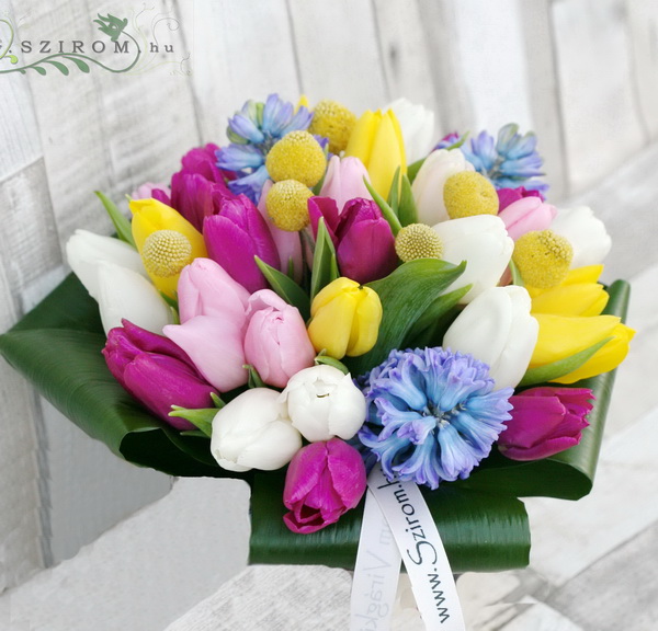 flower delivery Budapest - Tulips with hyacinths and craspedias (40 stems)