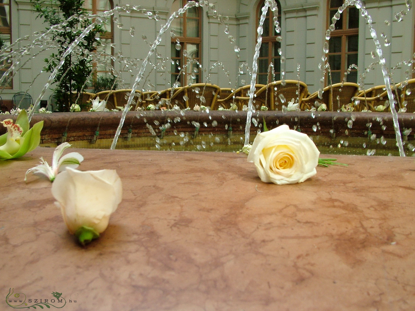 Virágküldés Budapest - Virágok a szökőkút körül , (fehér rózsa) Ybl palota, esküvő