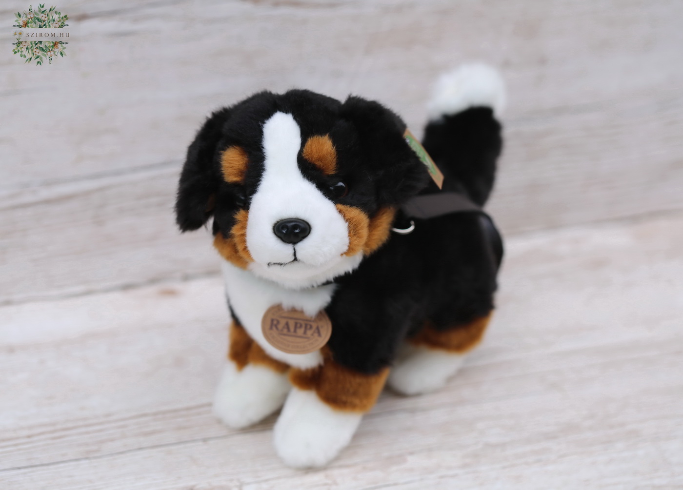 Virágküldés Budapest - Plüss berni pásztor kutya (22cm)