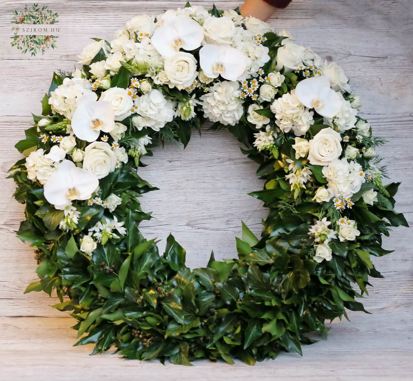 Blumenlieferung nach Budapest - Efeukranz mit weißen Rosen, Hortensien, Rosen, kamille (80cm)