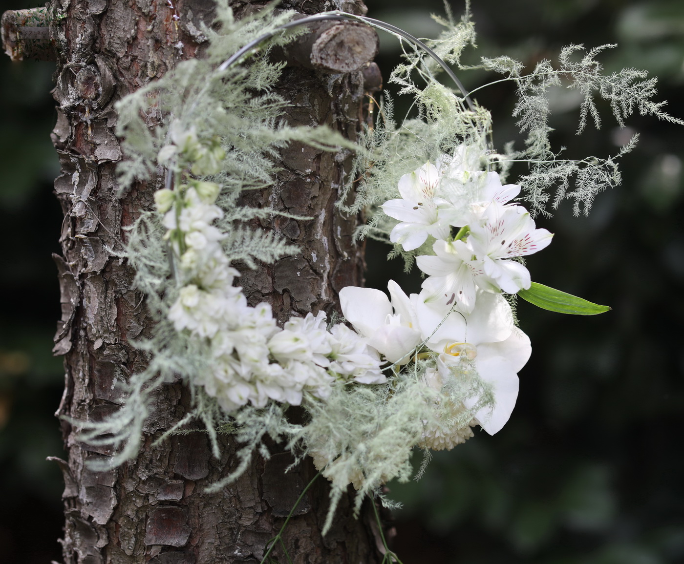 Blumenlieferung nach Budapest - Moderner Hoop-Bouquet mit Rittersporn, Orchidee (weiß)
