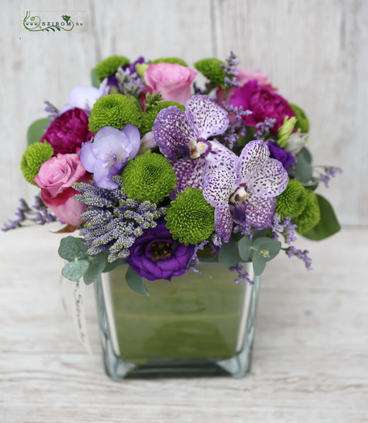 Blumenlieferung nach Budapest - Lila Würfel mit Vanda Orchideen (17 Stiele)