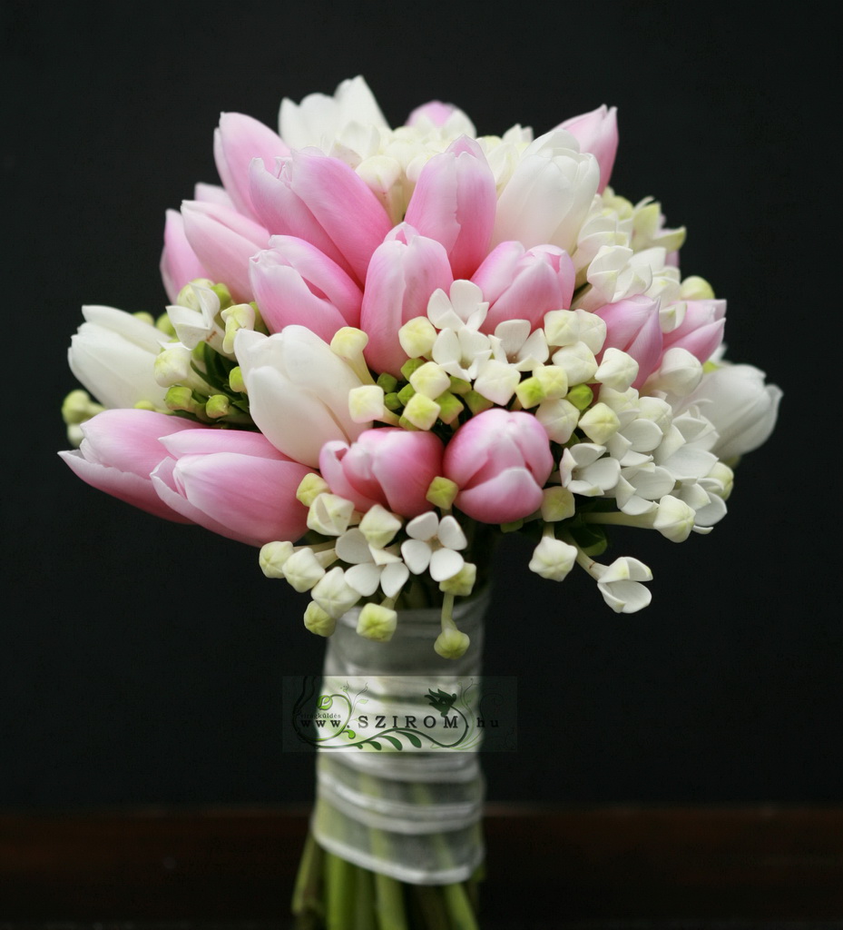 flower delivery Budapest - bridal bouquet of bouvardisand tulips (pink, cream) (winter, spring)