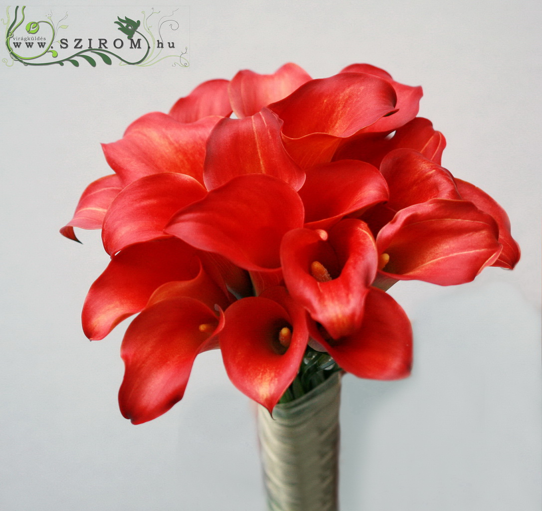 Blumenlieferung nach Budapest - Brautstrauß