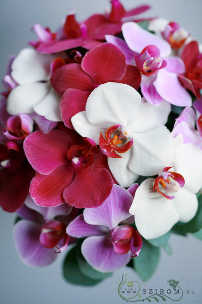 Virágküldés Budapest - menyasszonyi csokor (phalaenopsis, fehér, rózsaszín)
