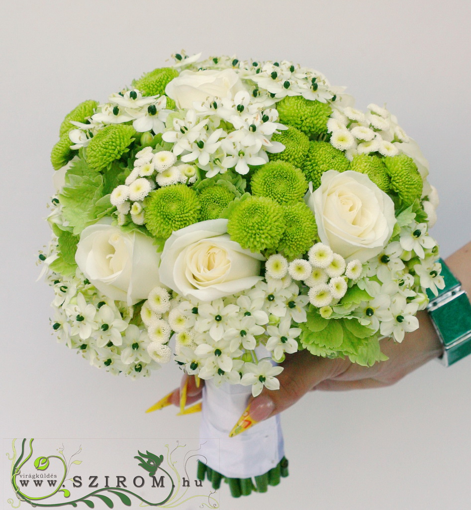 menyasszonyi csokor (rózsa, matricaria, gombkrizi, ornithogalum, zöld, fehér)