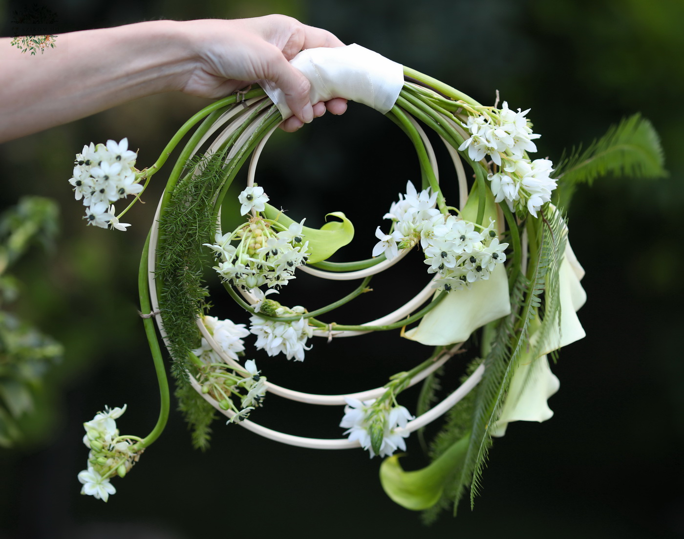 Blumenlieferung nach Budapest - Moderner Reifstrauß mit Ornithogalum (weiß)