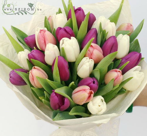 Blumenlieferung nach Budapest - 30 Tulpen Pastell