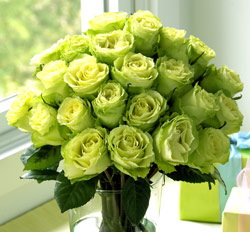 flower delivery Budapest - real green roses in a bouquet (20 szál)