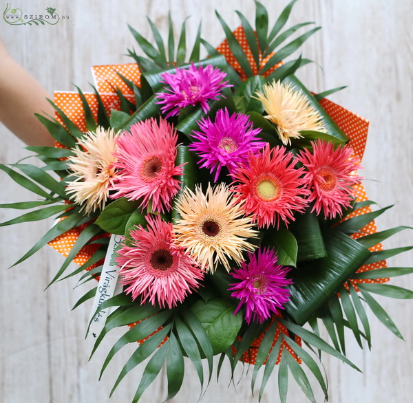 Blumenlieferung nach Budapest - Spinnen Gerbera in einem großen Blumenstrauß (10 Stämme)