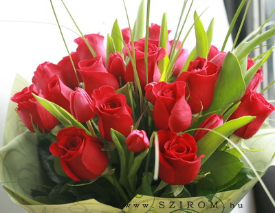 flower delivery Budapest - red roses and tulips (25 stems)