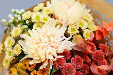 A krizantém titkai – 13 meglepő érdekesség