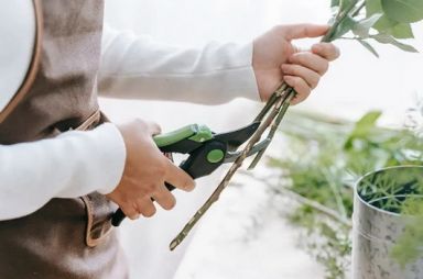 Vágott virágok kezelése – hogyan tarthat legtovább a csokrod?